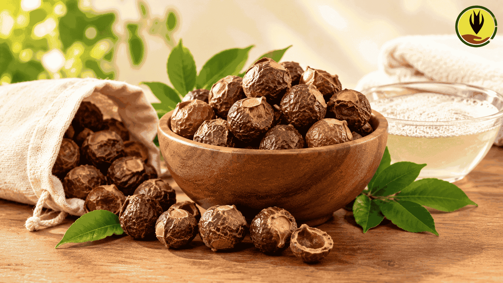 Soapnuts